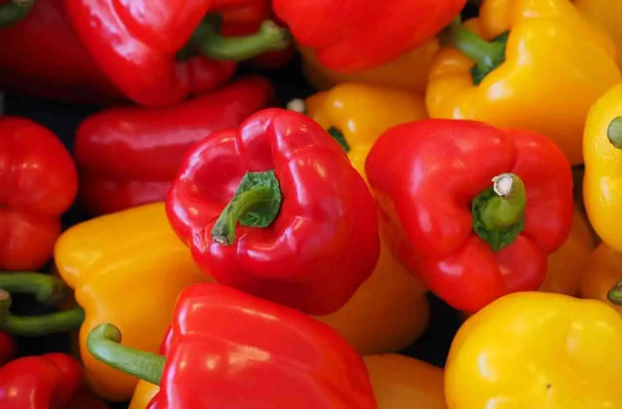 Il concime naturale che fa esplodere la crescita dei peperoni Il concime naturale che fa esplodere la crescita dei peperoni
