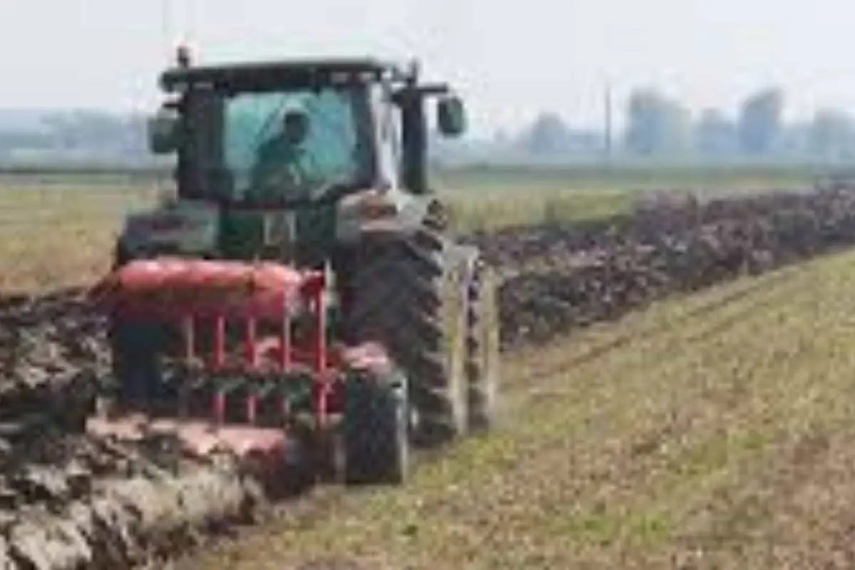 Terreno agricolo inutilizzato? La strategia per trasformarlo in una rendita stabile da oggi Terreno agricolo inutilizzato? La strategia per trasformarlo in una rendita stabile da oggi