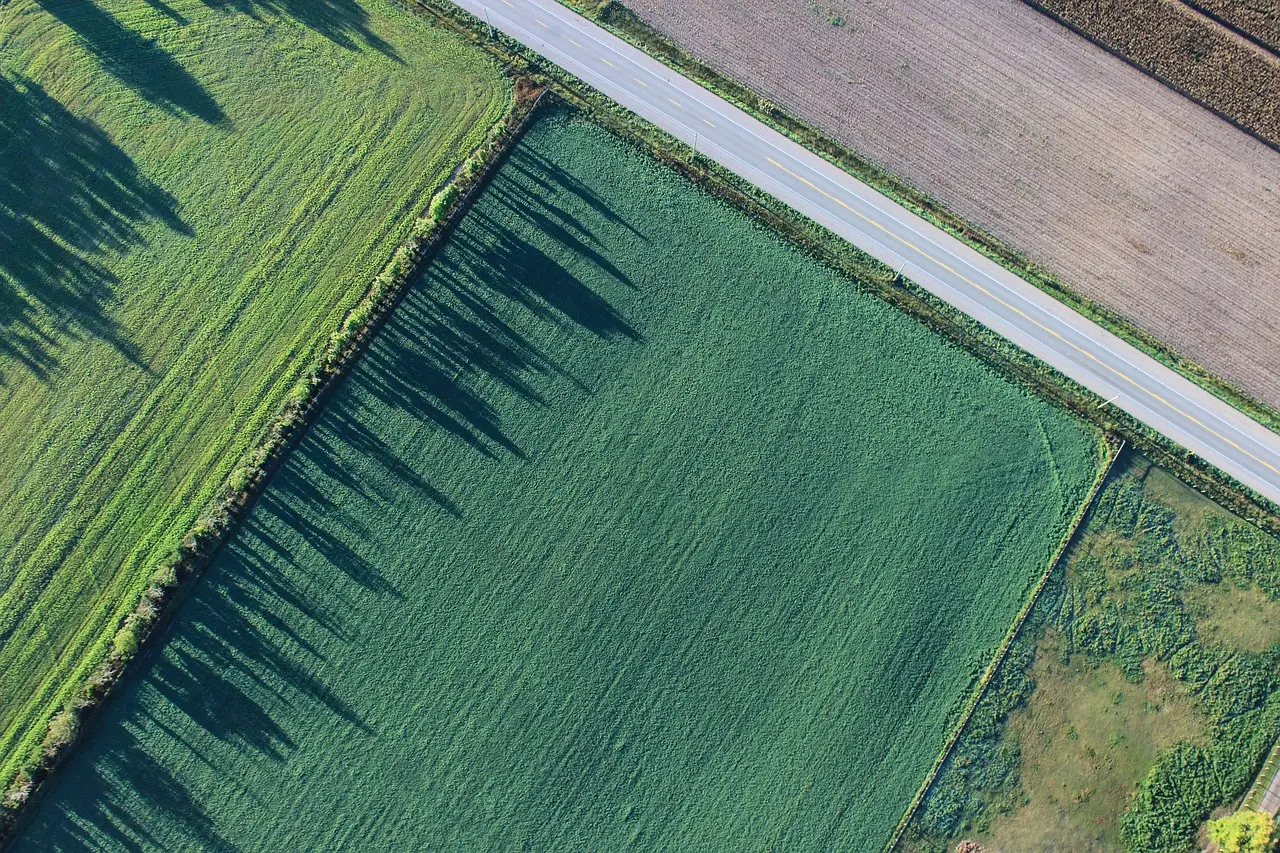 Terreno agricolo inutilizzato? La strategia per trasformarlo in una rendita stabile da oggi Terreno agricolo inutilizzato? La strategia per trasformarlo in una rendita stabile da oggi