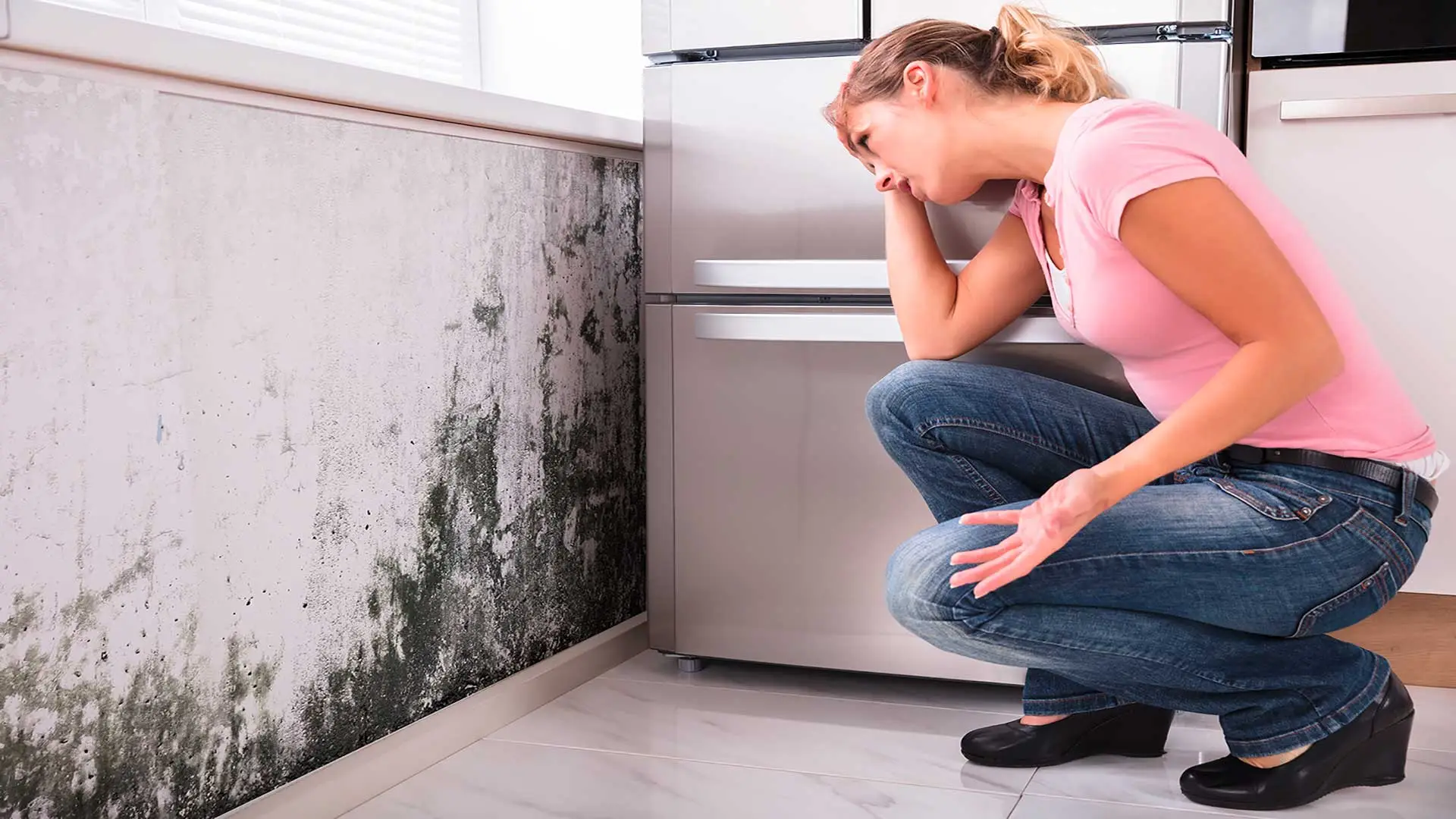 Ecco come evitare la muffa nei vasi in estate: la soluzione naturale raccomandata dai botanici Ecco come evitare la muffa nei vasi in estate: la soluzione naturale raccomandata dai botanici