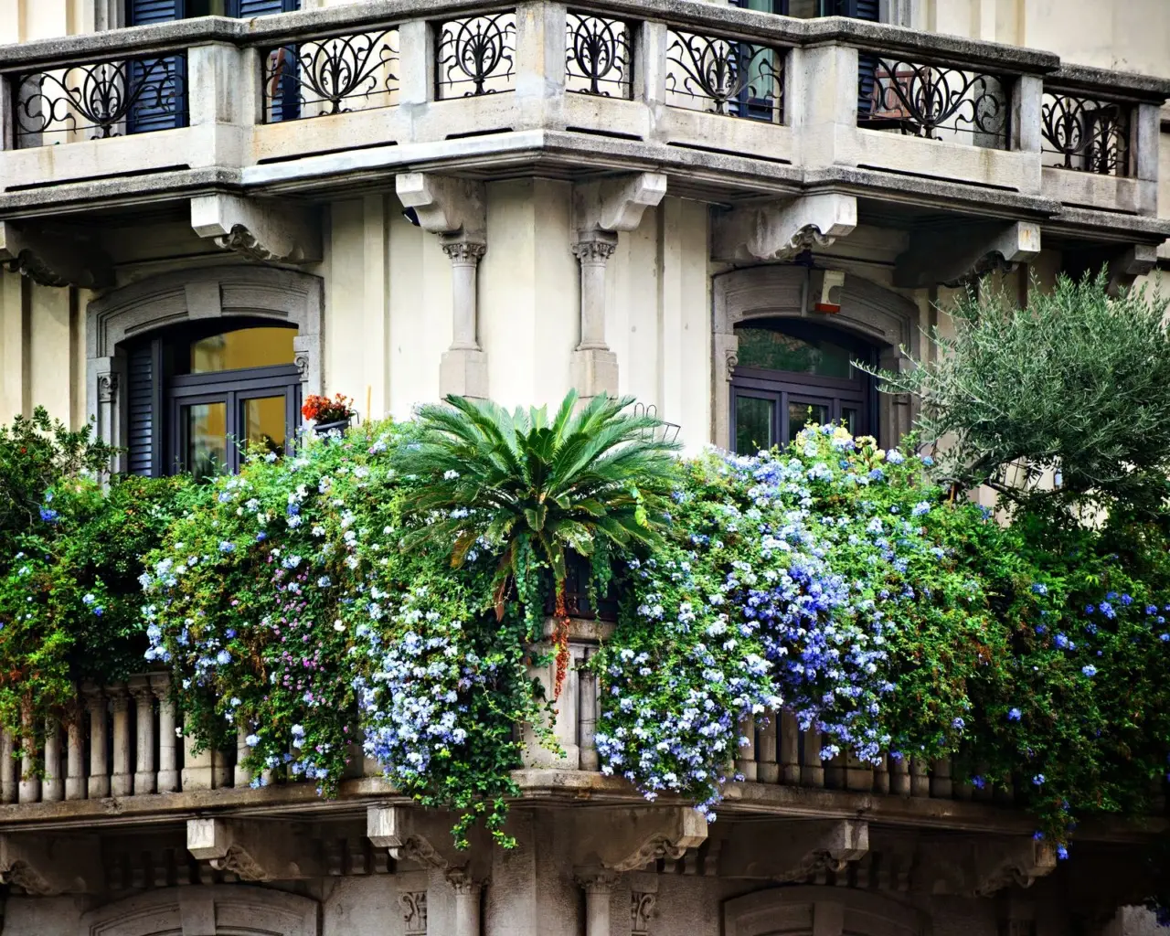 Come creare una barriera verde contro il vento: le varietà di arbusti selezionate dai vivaisti Come creare una barriera verde contro il vento: le varietà di arbusti selezionate dai vivaisti