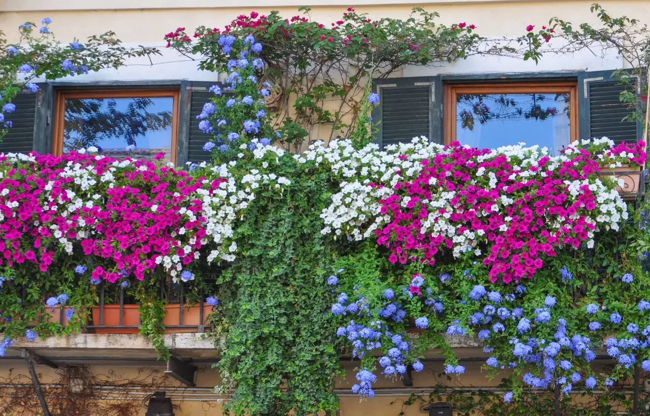Come creare una barriera verde contro il vento: le varietà di arbusti selezionate dai vivaisti Come creare una barriera verde contro il vento: le varietà di arbusti selezionate dai vivaisti