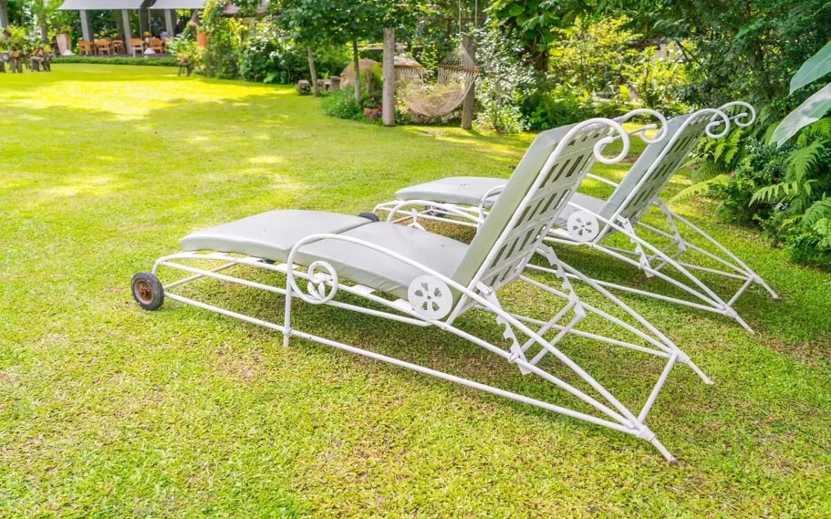 Problemi nel tuo giardino? Ecco il rivoluzionario metodo del bicarbonato! Problemi nel tuo giardino? Ecco il rivoluzionario metodo del bicarbonato!