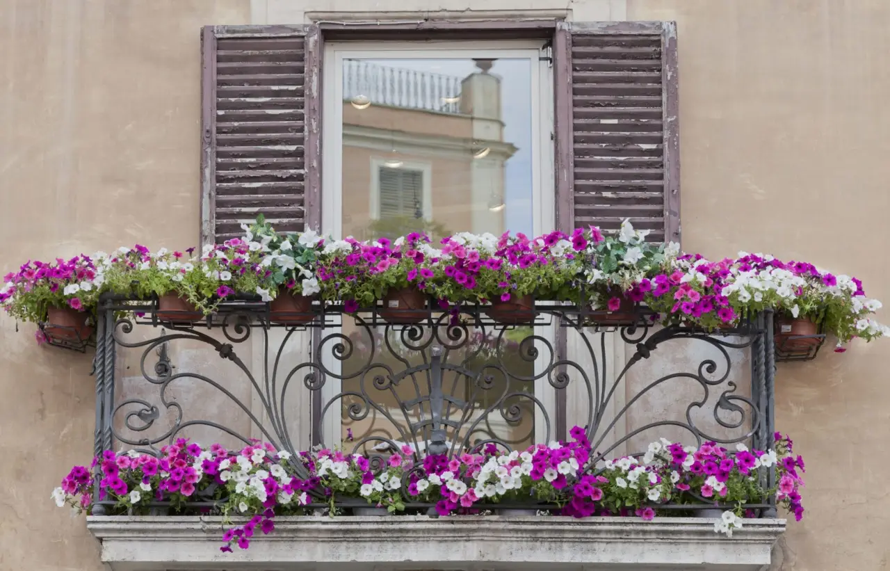 Balcone sempre fiorito a giugno: scopri le varietà che resistono al sole estivo Balcone sempre fiorito a giugno: scopri le varietà che resistono al sole estivo