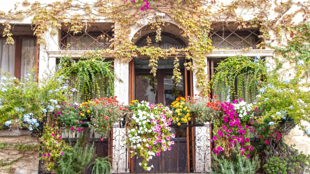 Balcone sempre fiorito a giugno: scopri le varietà che resistono al sole estivo Balcone sempre fiorito a giugno: scopri le varietà che resistono al sole estivo