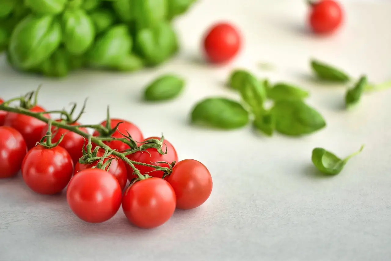 Come difendere i pomodori dal marciume apicale: la soluzione naturale consigliata dagli orticoltori per giugno Come difendere i pomodori dal marciume apicale: la soluzione naturale consigliata dagli orticoltori per giugno