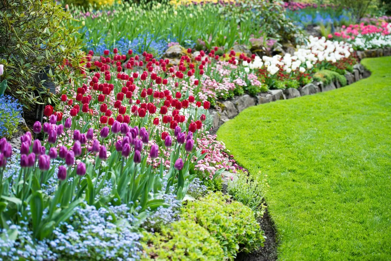 Bicarbonato in giardino: il rimedio naturale ed economico per risolvere subito i problemi più comuni Bicarbonato in giardino: il rimedio naturale ed economico per risolvere subito i problemi più comuni