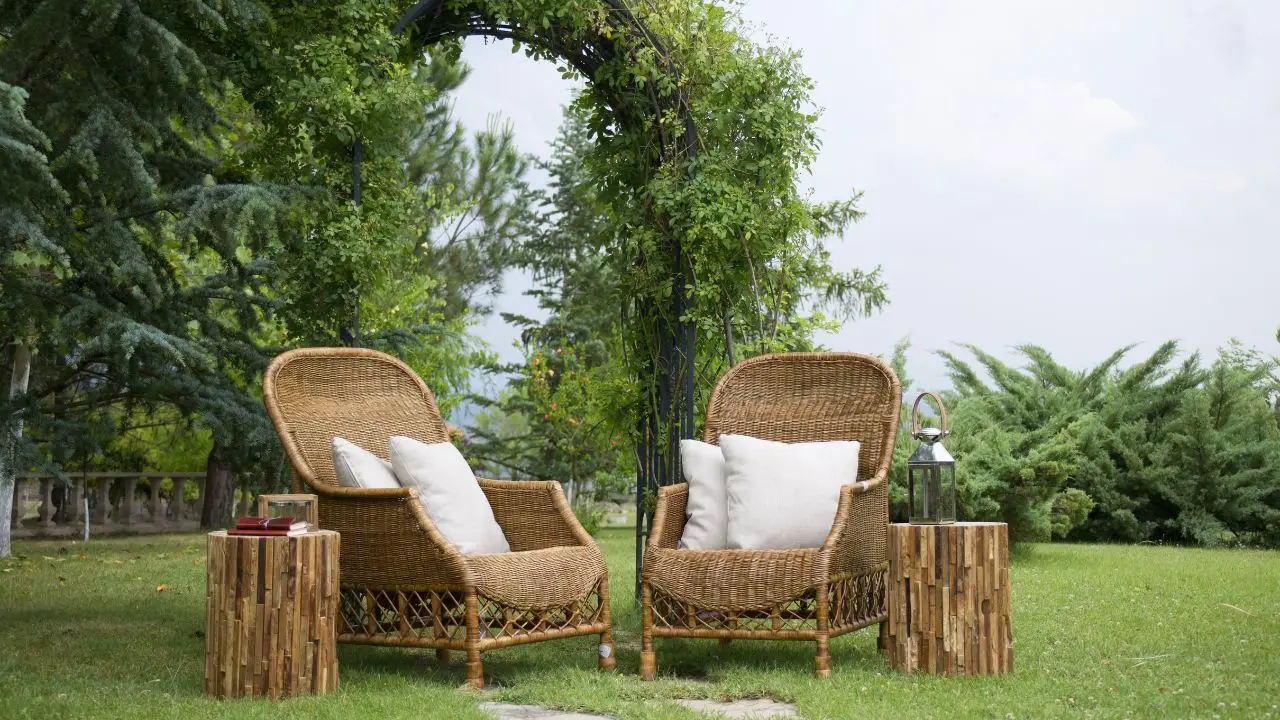 Bicarbonato in giardino: il rimedio naturale ed economico per risolvere subito i problemi più comuni Bicarbonato in giardino: il rimedio naturale ed economico per risolvere subito i problemi più comuni