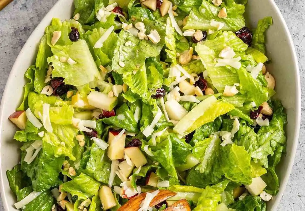 Il segreto per avere insalata fresca ogni settimana in estate: la rotazione varietale spiegata dagli agronomi Il segreto per avere insalata fresca ogni settimana in estate: la rotazione varietale spiegata dagli agronomi