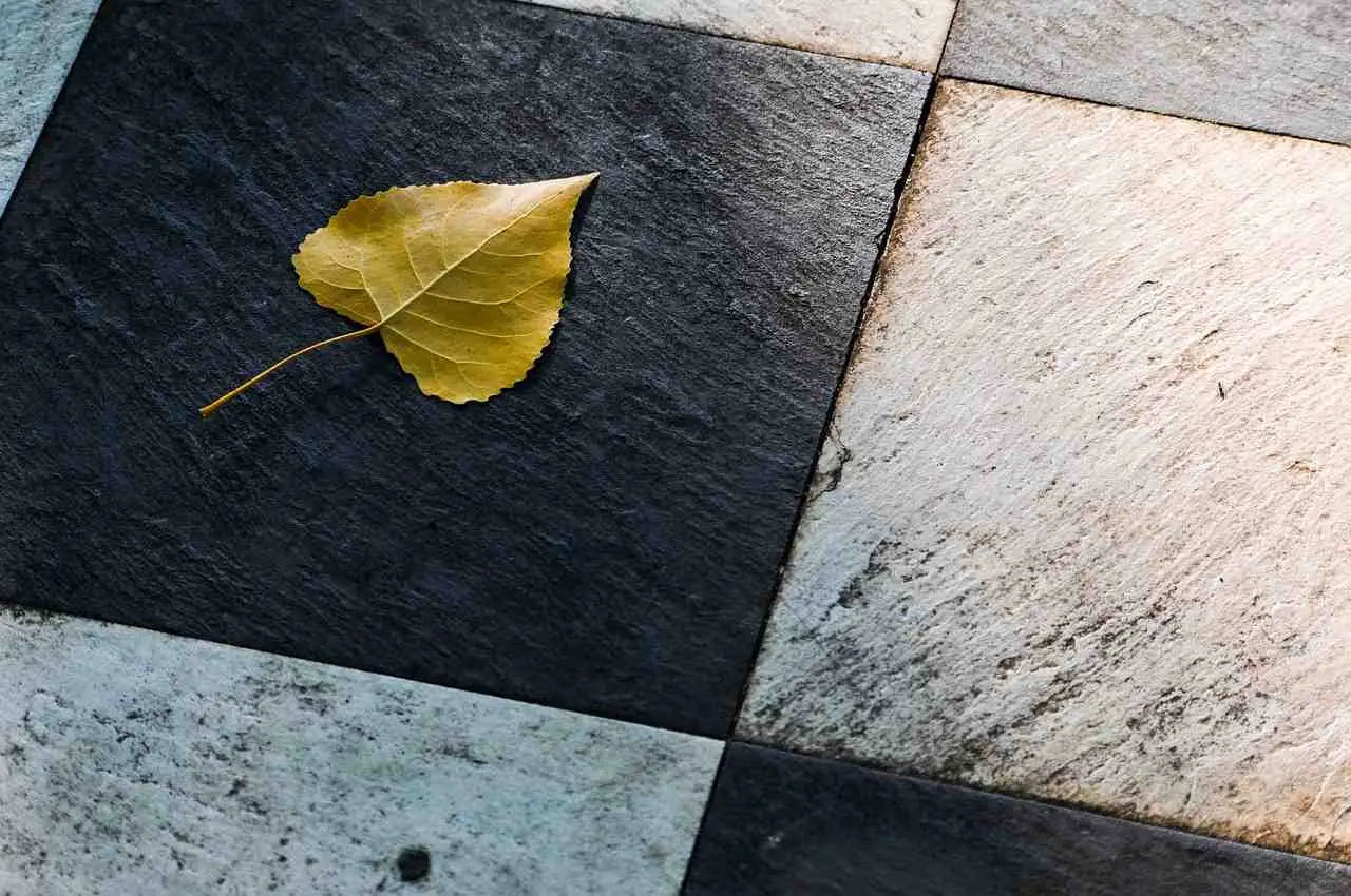 Erba infestante tra le piastrelle? La soluzione definitiva raccomandata dai vivaisti per un pavimento pulito Erba infestante tra le piastrelle? La soluzione definitiva raccomandata dai vivaisti per un pavimento pulito
