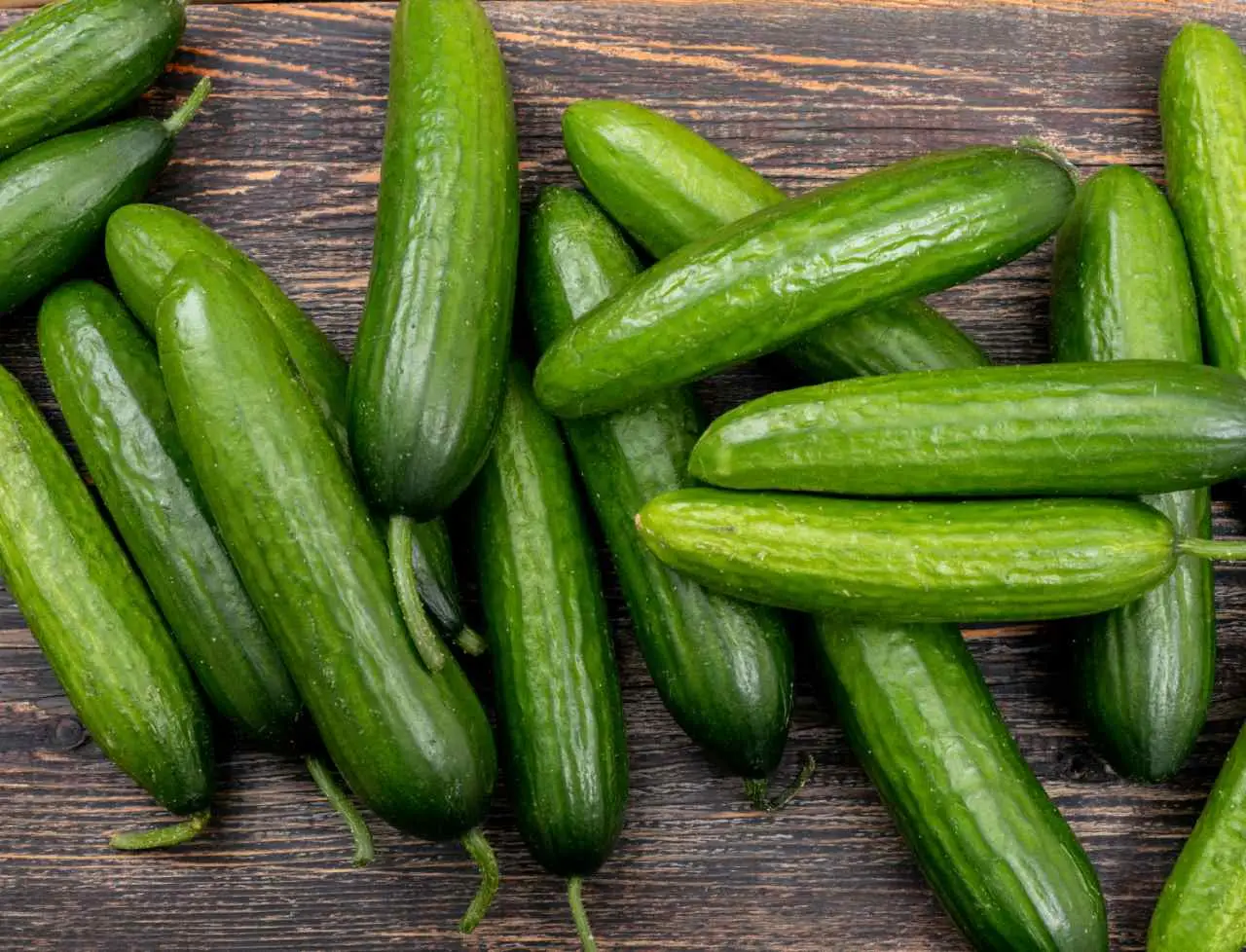 5 trucchi per difendere i cetrioli dalle lumache senza usare veleni: ecco la strategia naturale consigliata dagli orticoltori per giugno 5 trucchi per difendere i cetrioli dalle lumache senza usare veleni: ecco la strategia naturale consigliata dagli orticoltori per giugno